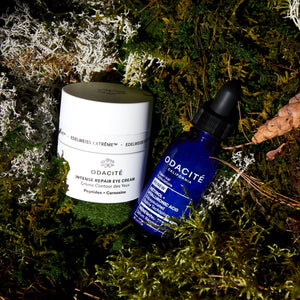 The Edit: Odacité's Gifting You with the Power of AI-The Detox Market